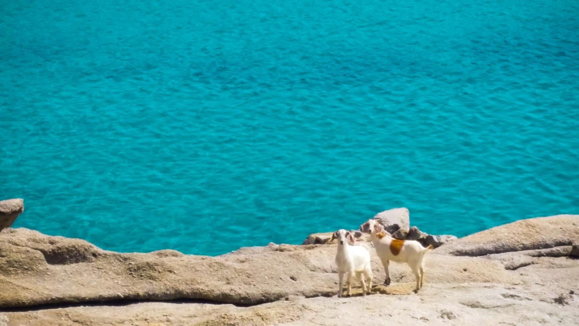 Casa vacanze Sunny Getaway In Mykonos Lia